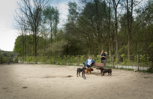 Foto 1 van De Gavers Harelbeke